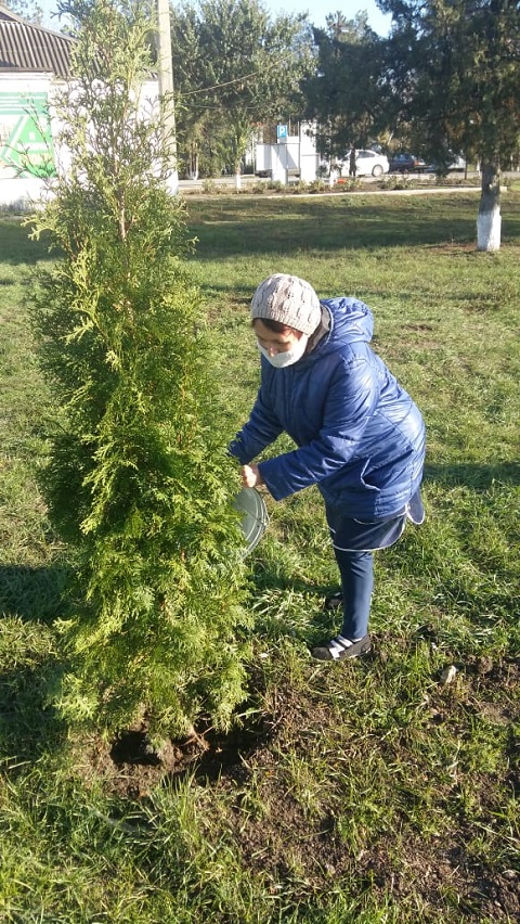 foto3