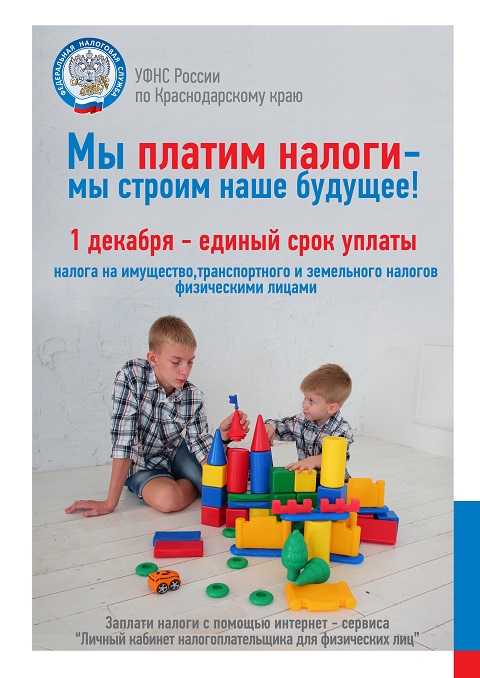 zapla20221128 3