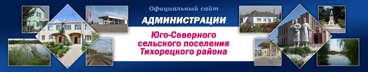 shapka
